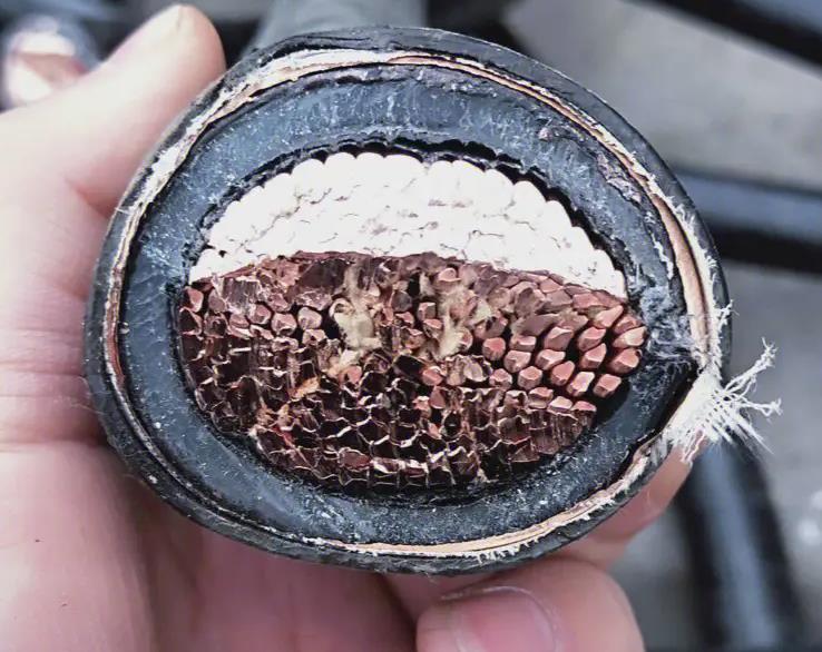 南方珠江電線電纜是現(xiàn)代社會中不可或缺的基礎設施.jpg 南方珠江電線電纜是現(xiàn)代社會中不可或缺的基礎設施.jpg